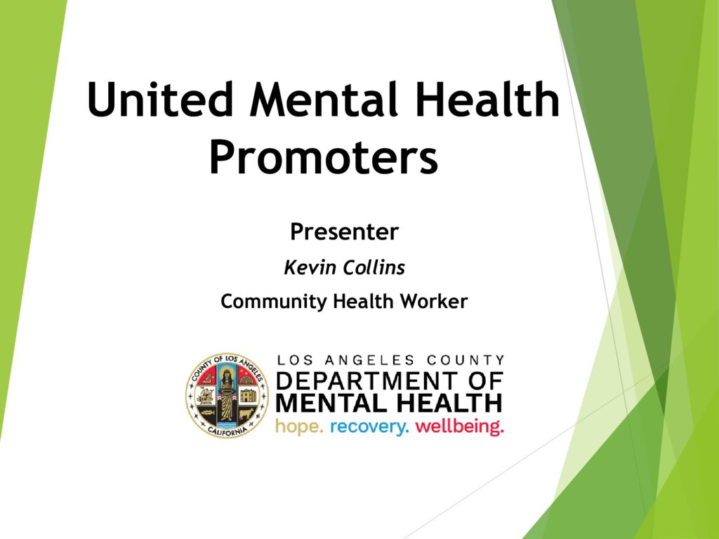 thumbnail of DMH Promoter Program_presentation resource share