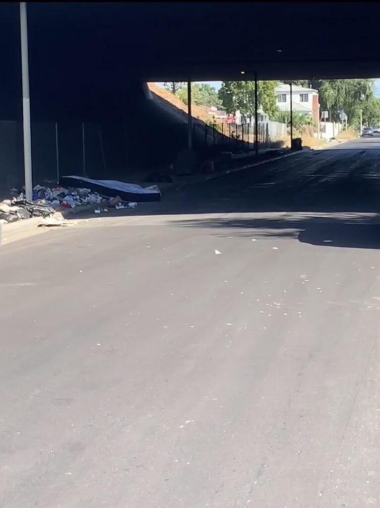 Stanford Avenue before the clean up 8-26-2023