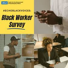 Black Worker Survey